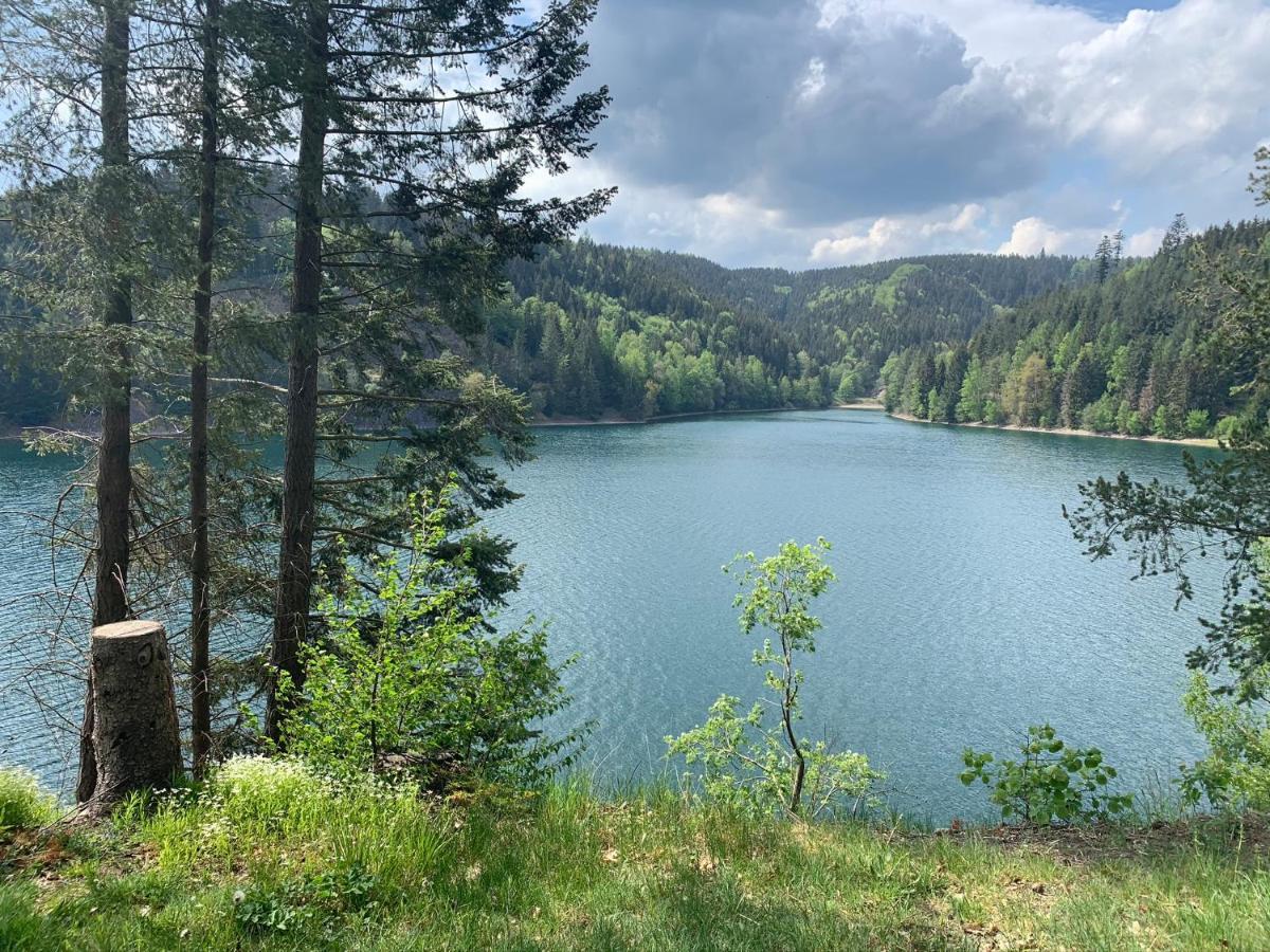 Apartment Tolle Mit Loggia In 100qm Bei Hof An Der Saale Frankenwald